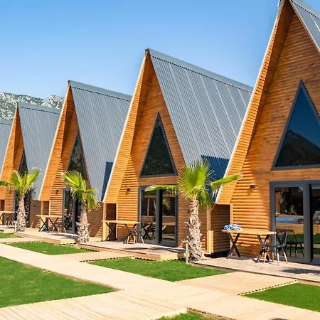 Araz Wooden Concept *