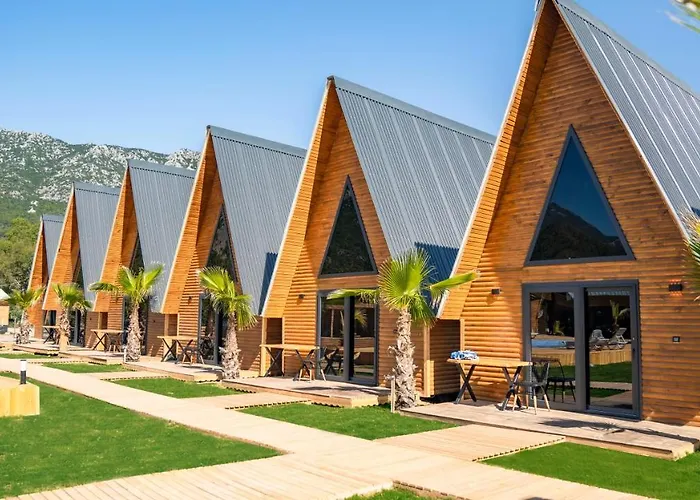 Araz Wooden Concept *
