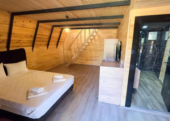 Araz Wooden Concept *