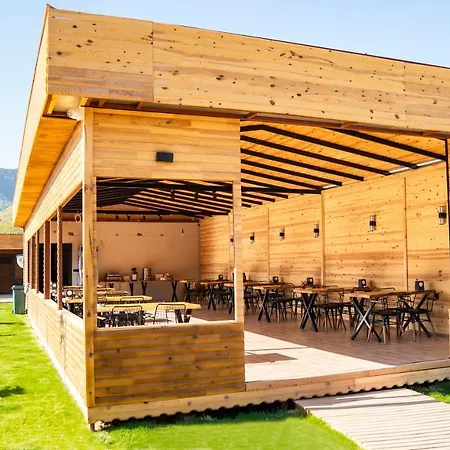 Araz Wooden Concept *